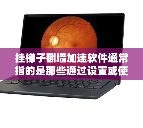 挂梯子翻墙加速软件通常指的是那些通过设置或使用特定工具来加速网络的软件。这些软件可以帮助用户更快地访问网页、下载文件或处理其他任务。以下是一些常见的加速软件及其特点