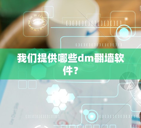 我们提供哪些dm翻墙软件？