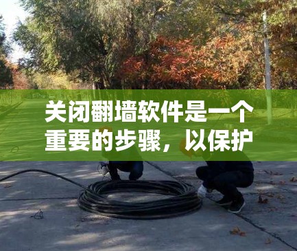 关闭翻墙软件是一个重要的步骤，以保护用户免受网络诈骗和信息不全的风险。以下是一步步的指南