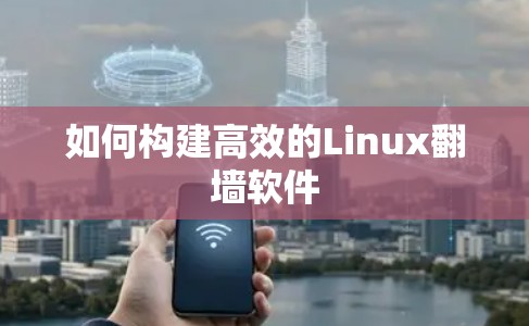 如何构建高效的Linux翻墙软件