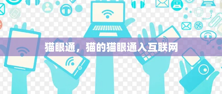 猫眼通,猫的猫眼通入互联网 猫眼通,猫的猫眼通入互联网