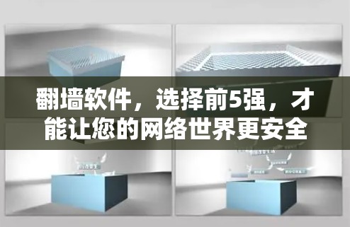 翻墙软件，选择前5强，才能让您的网络世界更安全！