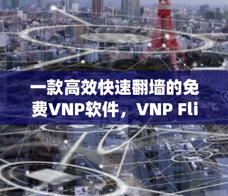一款高效快速翻墙的免费VNP软件，VNP Flip