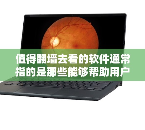 值得翻墙去看的软件通常指的是那些能够帮助用户访问互联网或网络资源的翻墙软件。翻墙软件可以帮助用户将内部网络连接到外部网络，从而访问外部网络资源。以下是一些值得考虑的翻墙软件及其特点