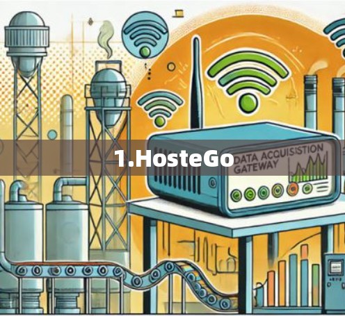 1.HosteGo