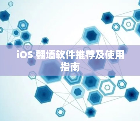 iOS 翻墙软件推荐及使用指南