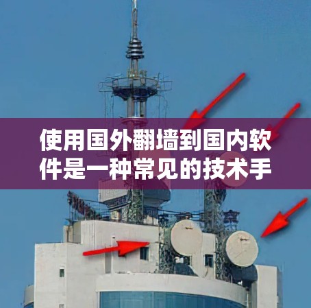 使用国外翻墙到国内软件是一种常见的技术手段，可以帮助用户访问国外网站，避免访问权限问题。以下是对这一过程的详细分析和建议