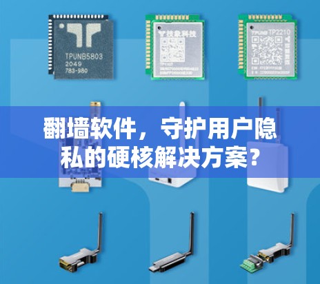 翻墙软件，守护用户隐私的硬核解决方案？