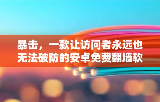 暴击，一款让访问者永远也无法破防的安卓免费翻墙软件