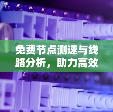 免费节点测速与线路分析，助力高效网络