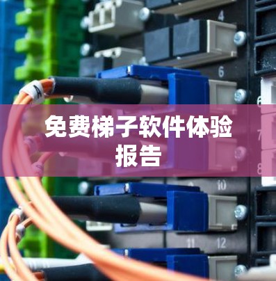 免费梯子软件体验报告
