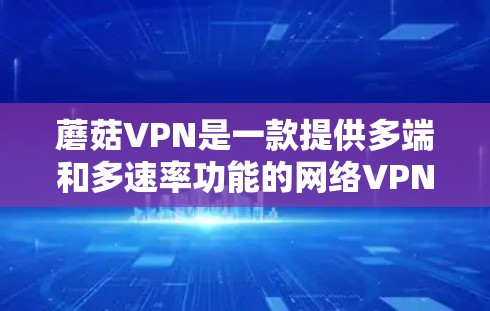 蘑菇VPN是一款提供多端和多速率功能的网络VPN解决方案，旨在满足用户对高稳定性和可靠性的需求。以下是对蘑菇VPN功能评测的详细分析