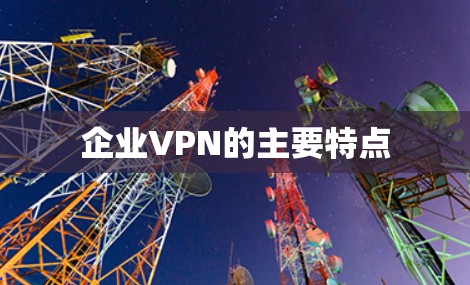 企业VPN的主要特点
