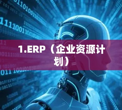 1.ERP（企业资源计划）