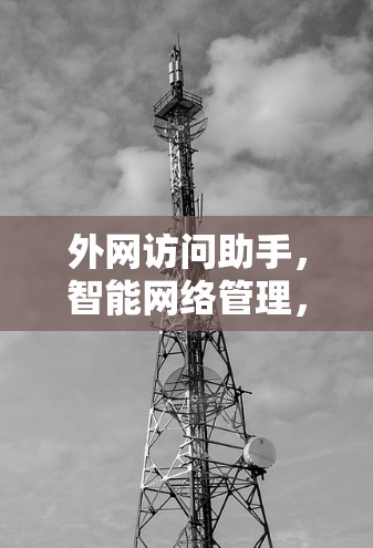 外网访问助手，智能网络管理，保障你的网络安全
