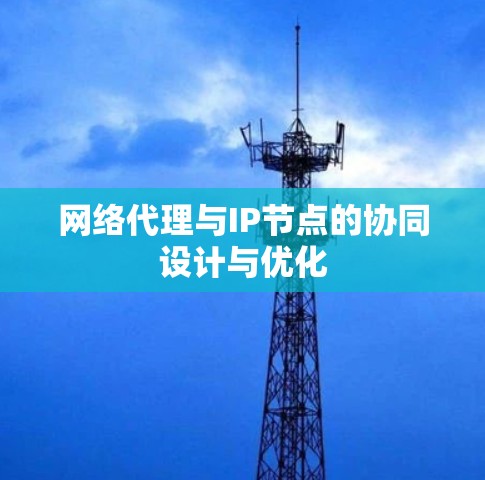网络代理与IP节点的协同设计与优化