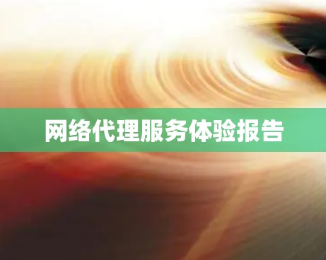 网络代理服务体验报告
