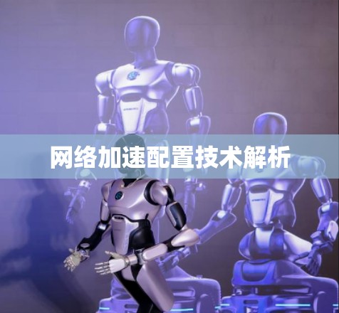 网络加速配置技术解析