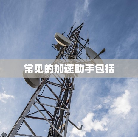 常见的加速助手包括