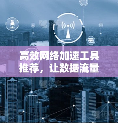 高效网络加速工具推荐，让数据流量不再受限