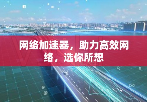 网络加速器，助力高效网络，选你所想